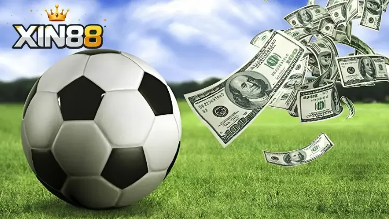 Bí quyết soi kèo thể thao giúp bạn dễ thắng hơn