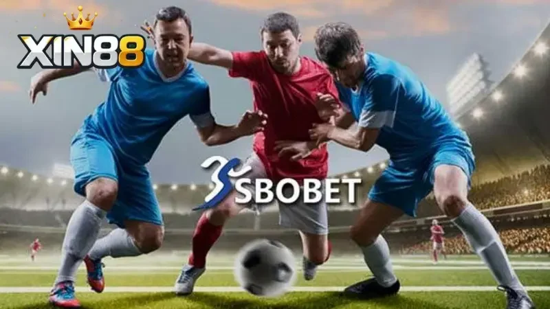 SBOBET Xin88 có độ ổn định cao, ít gặp lỗi hiển thị hoặc treo bảng